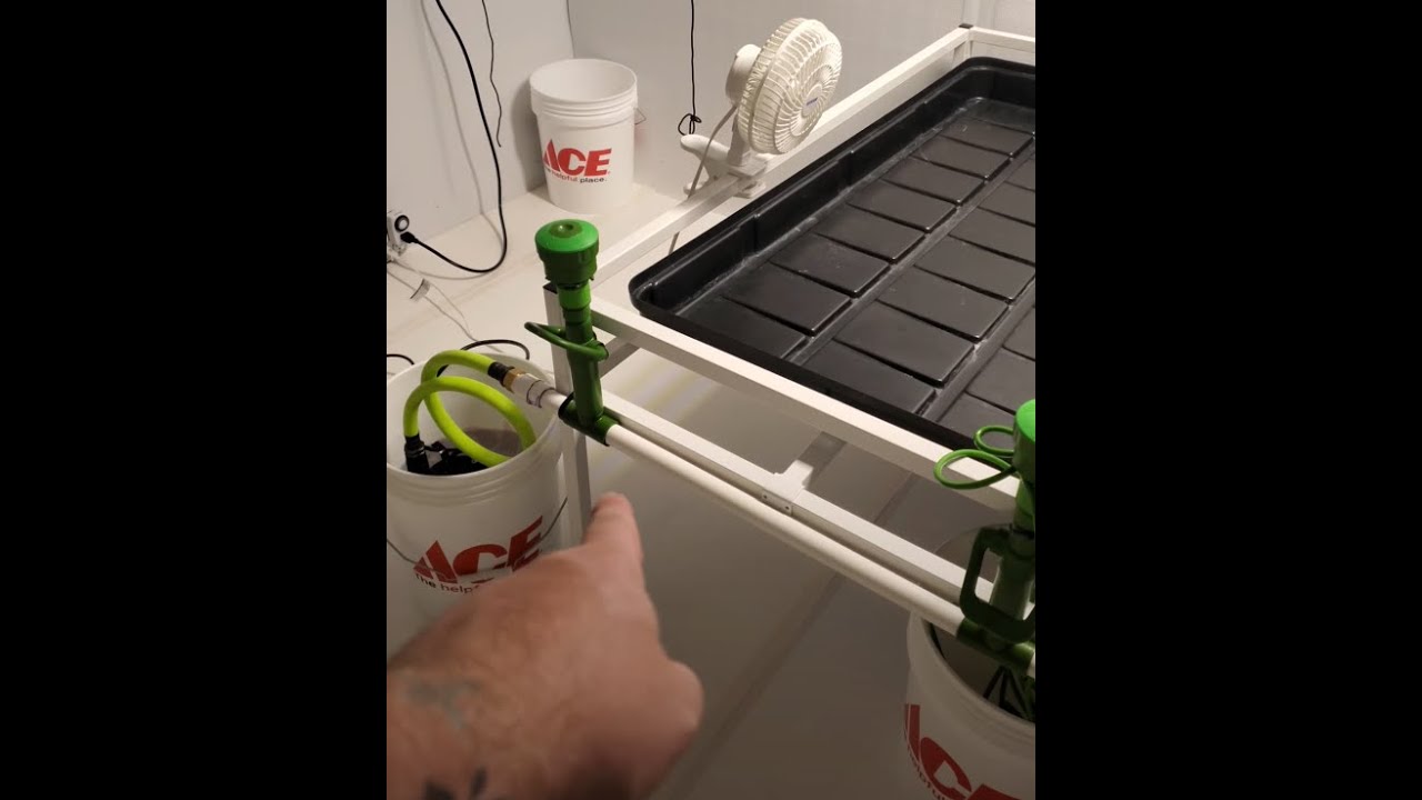 FLORA FLEX bubblers - are they any good? #shorts