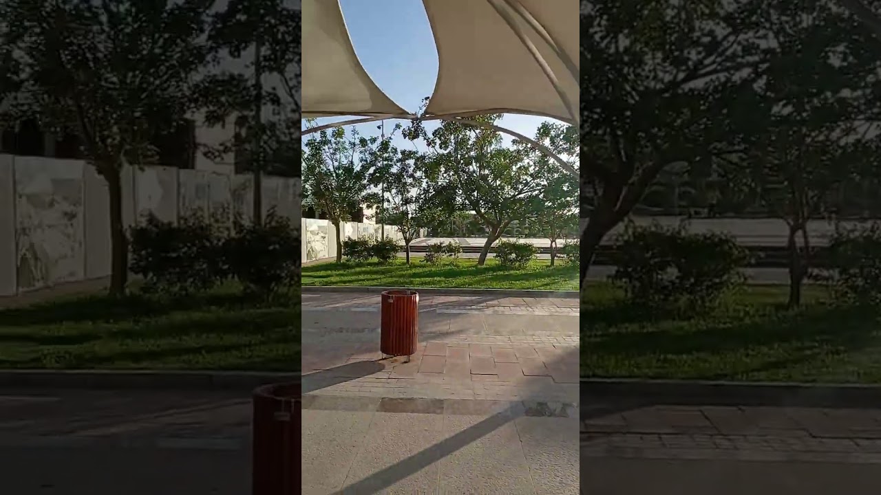 ♍ برج العذراء والاسد