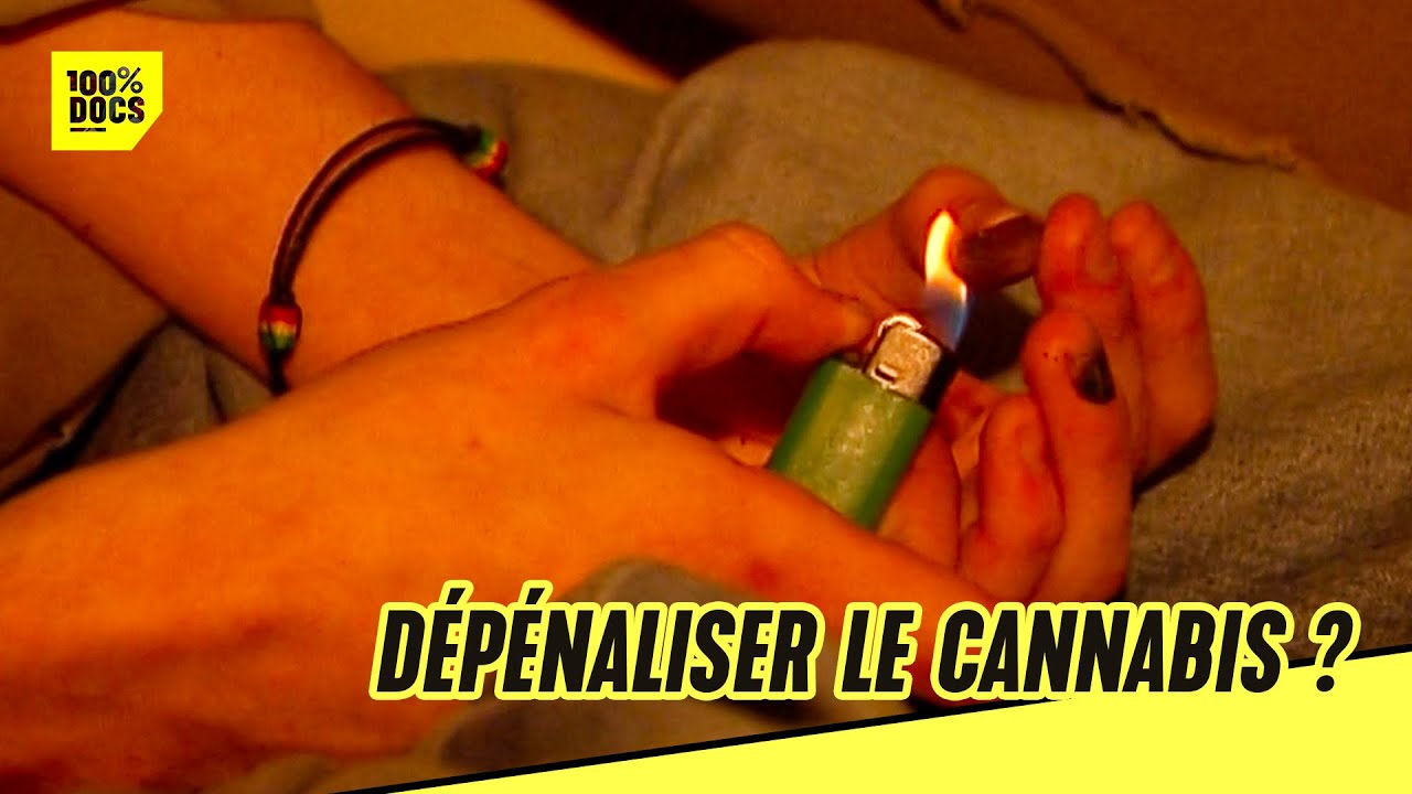 Pourquoi la France ne dépénalise pas le cannabis ?