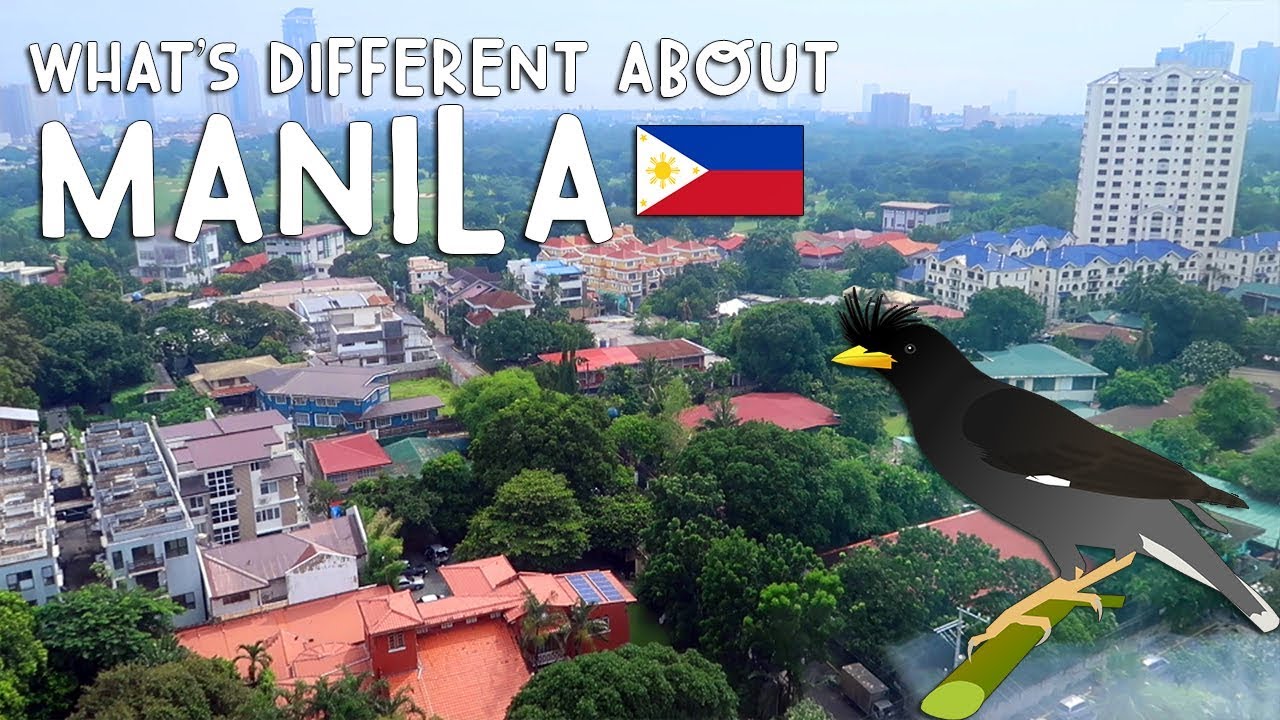 WHAT'S DIFFERENT ABOUT MANILA | Vlog #203