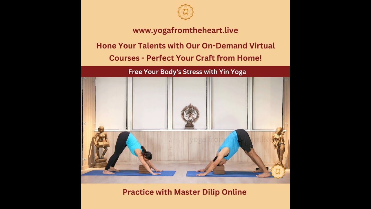 Yin Yoga For Full Body Release