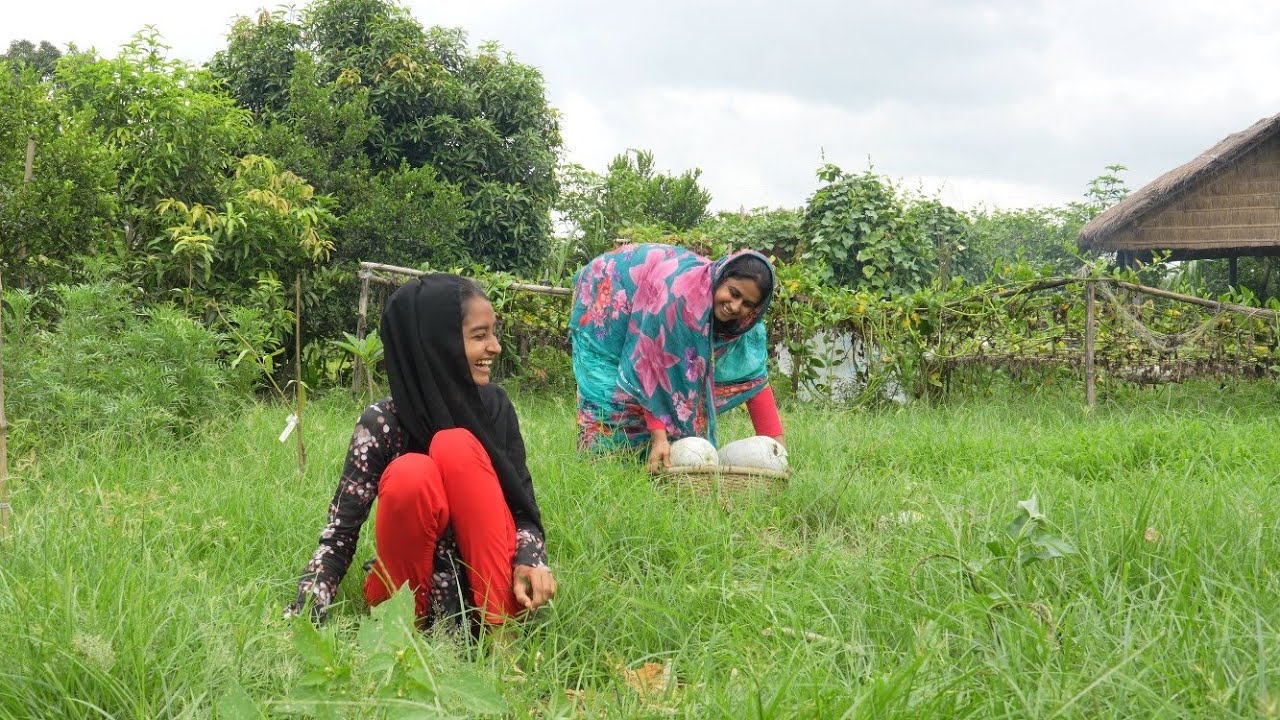 খিচুড়ি আপা | Village Life With Shampa