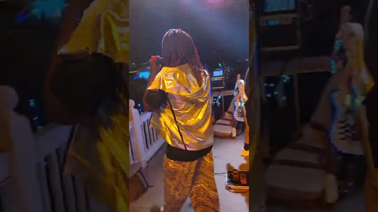 Electric Light Party