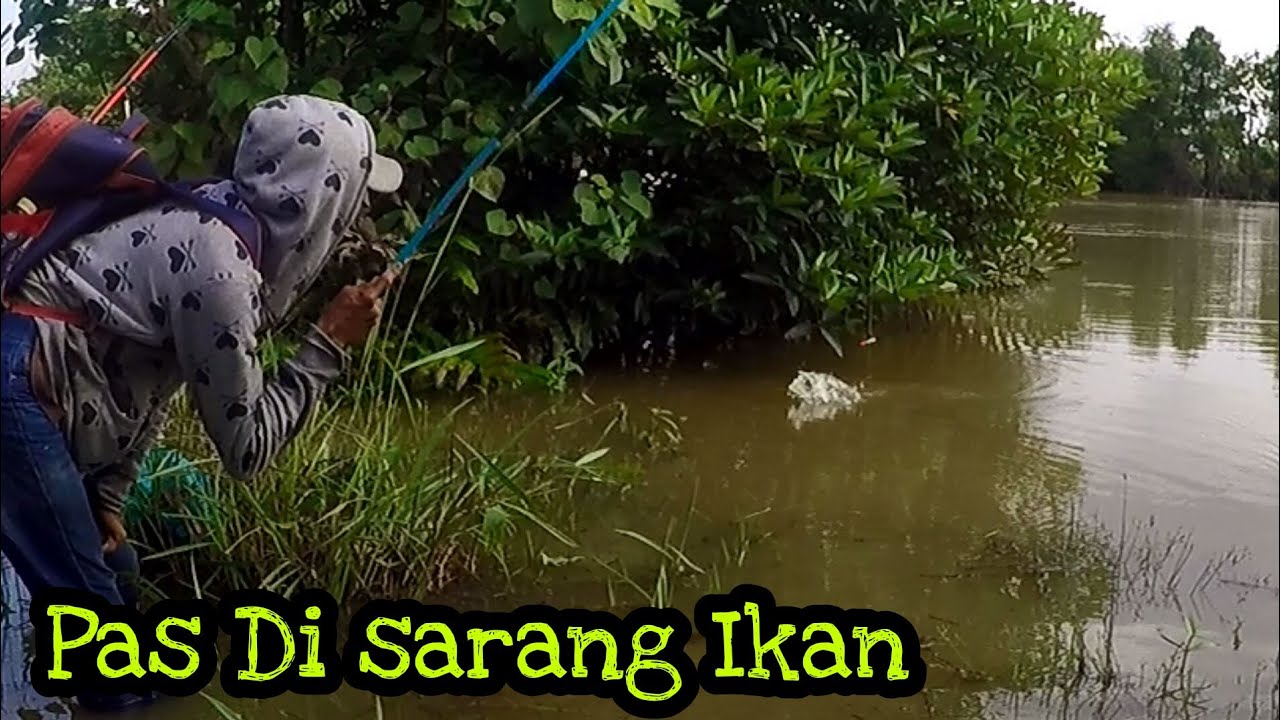 Mancing disini ikannya melimpah // Danau Bulat Marina #Jalan menuju Danau Bulat Marina