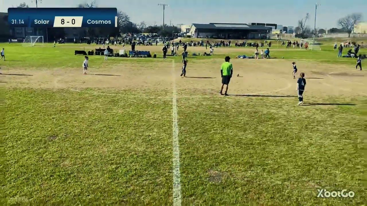 Cosmos Highlights 