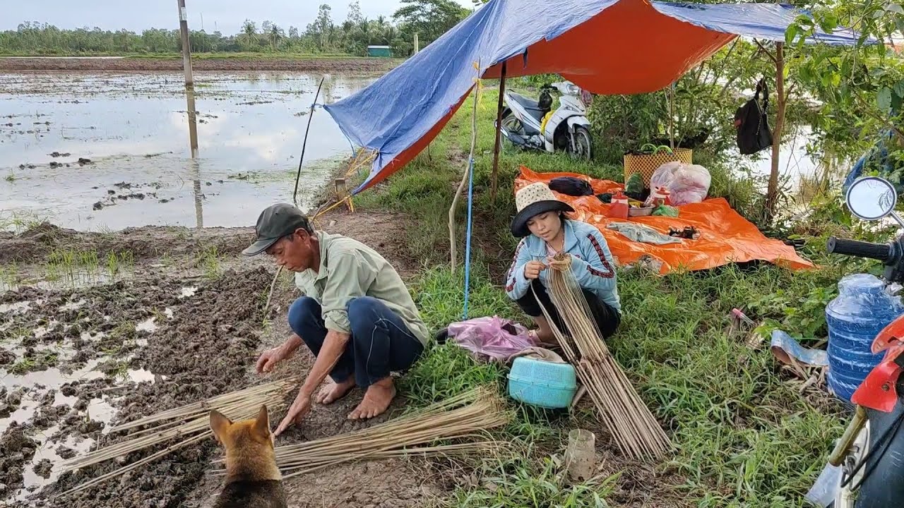 Cắm câu đầu mùa mưa Cá trê trắng nấu canh chua lá me