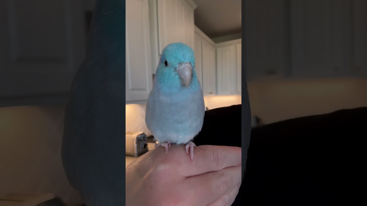 He did his best ☺️ 