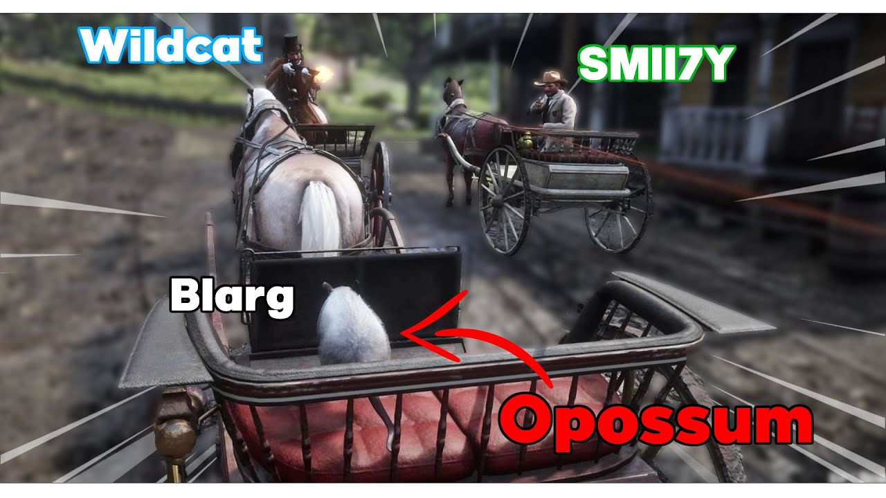 Modded Red Dead is ABSOLUTELY HILARIOUS