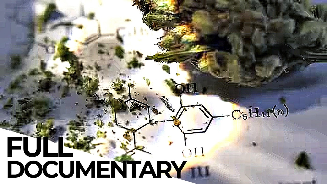 Cannabis: Stigmatized Wonder Drug | ENDEVR Documentary