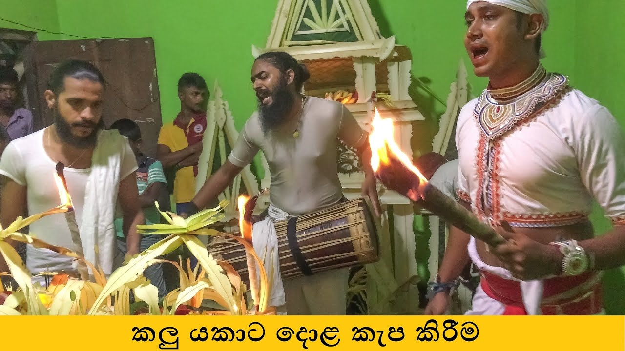 Thovil Shanthikarmaya කලු යකාට දොළ කැප කිරීම Sri Lankan Culture Indigenous Traditional Physics