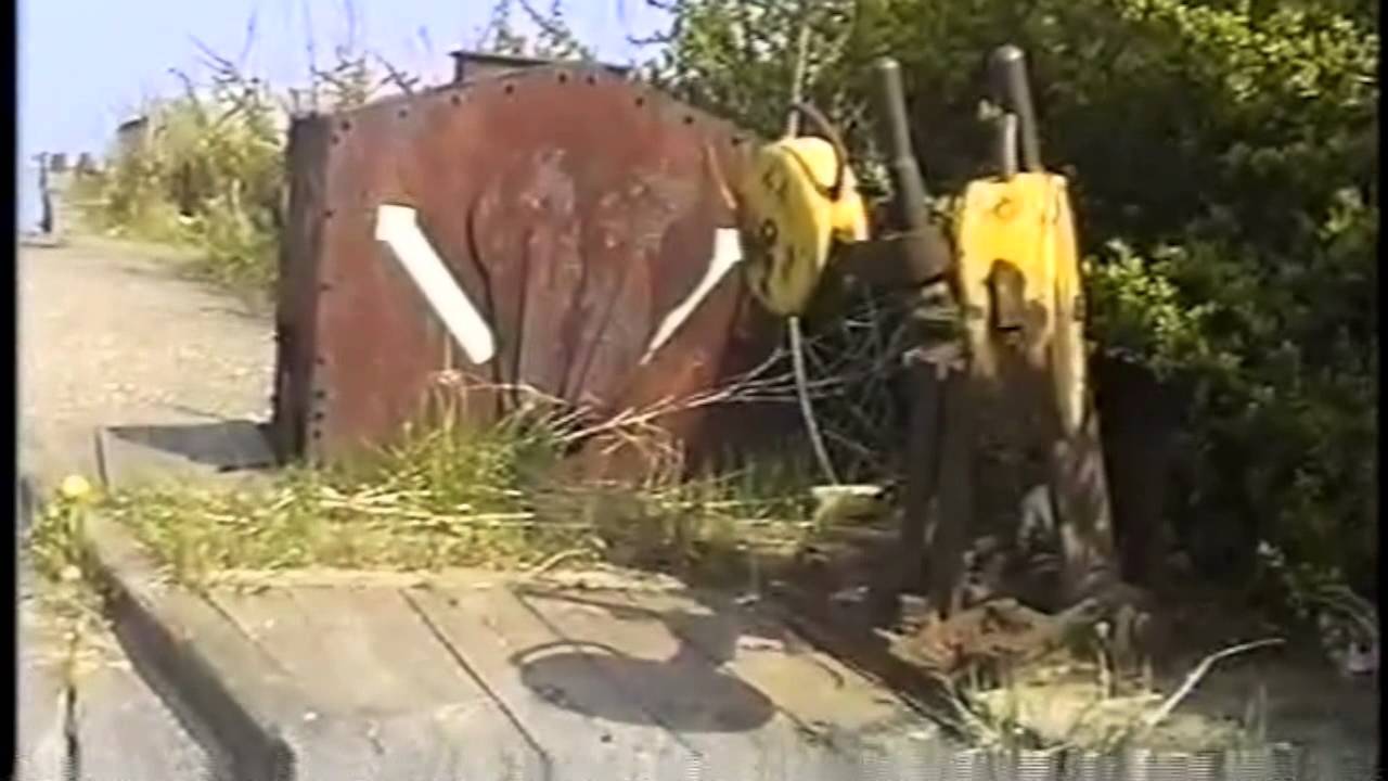 Danlink 1