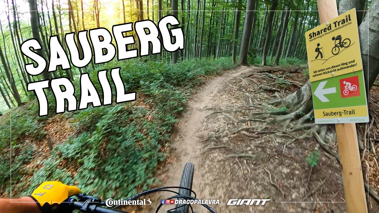 SAUBERG TRAIL | Wienerwald Trails | Drago Palavra