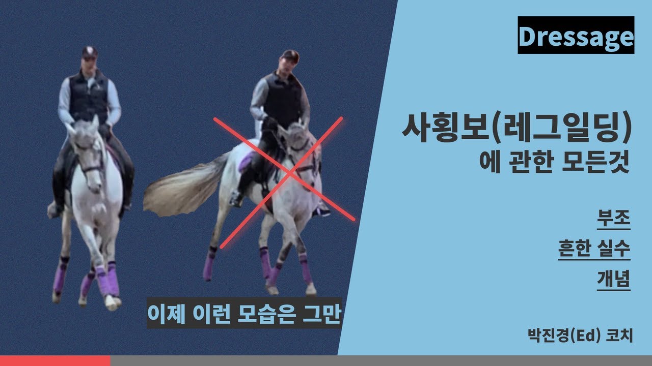 [승마] 사횡보(레그일딩)에 관한 모든것