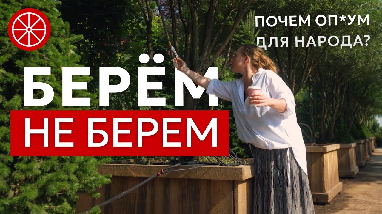 Берем не берем | Как выбрать растения для сада?