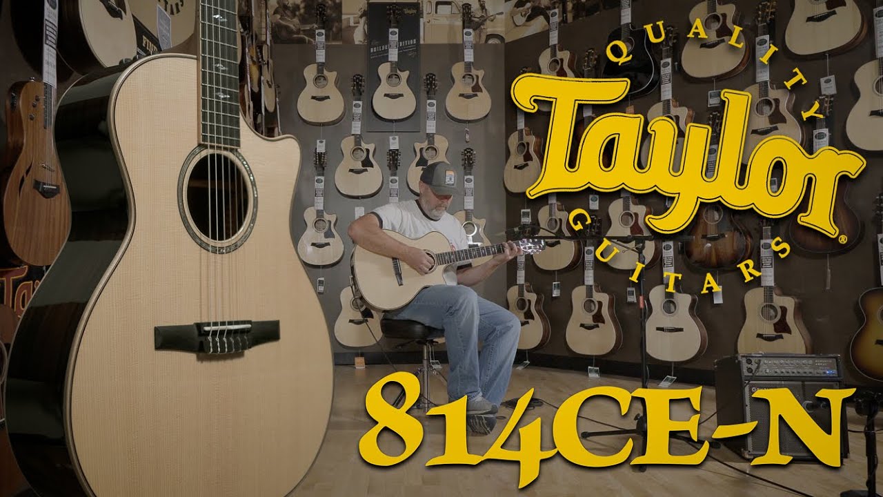 Taylor 814ce-N Nylon