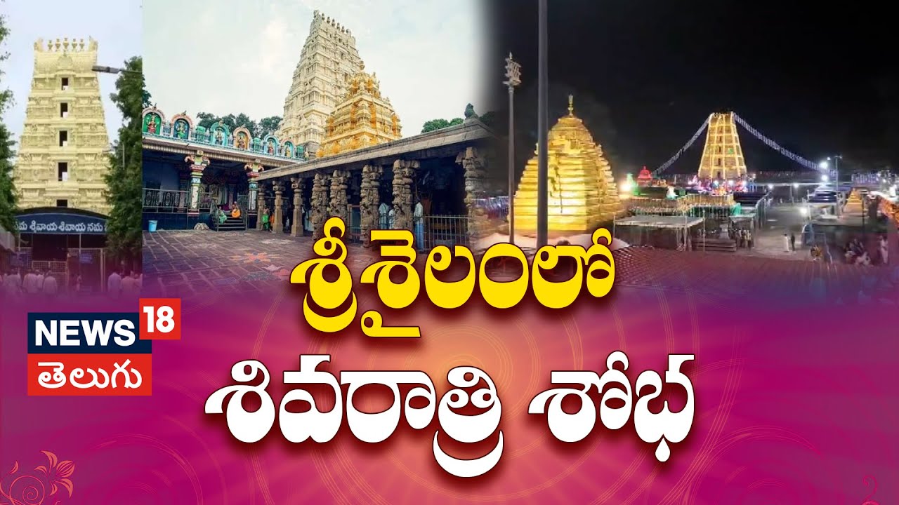 Srisailam Temple All Set for Grand Maha Shivaratri Brahmotsavams! | శ్రీశైలంలో శివరాత్రి శోభ |N18V