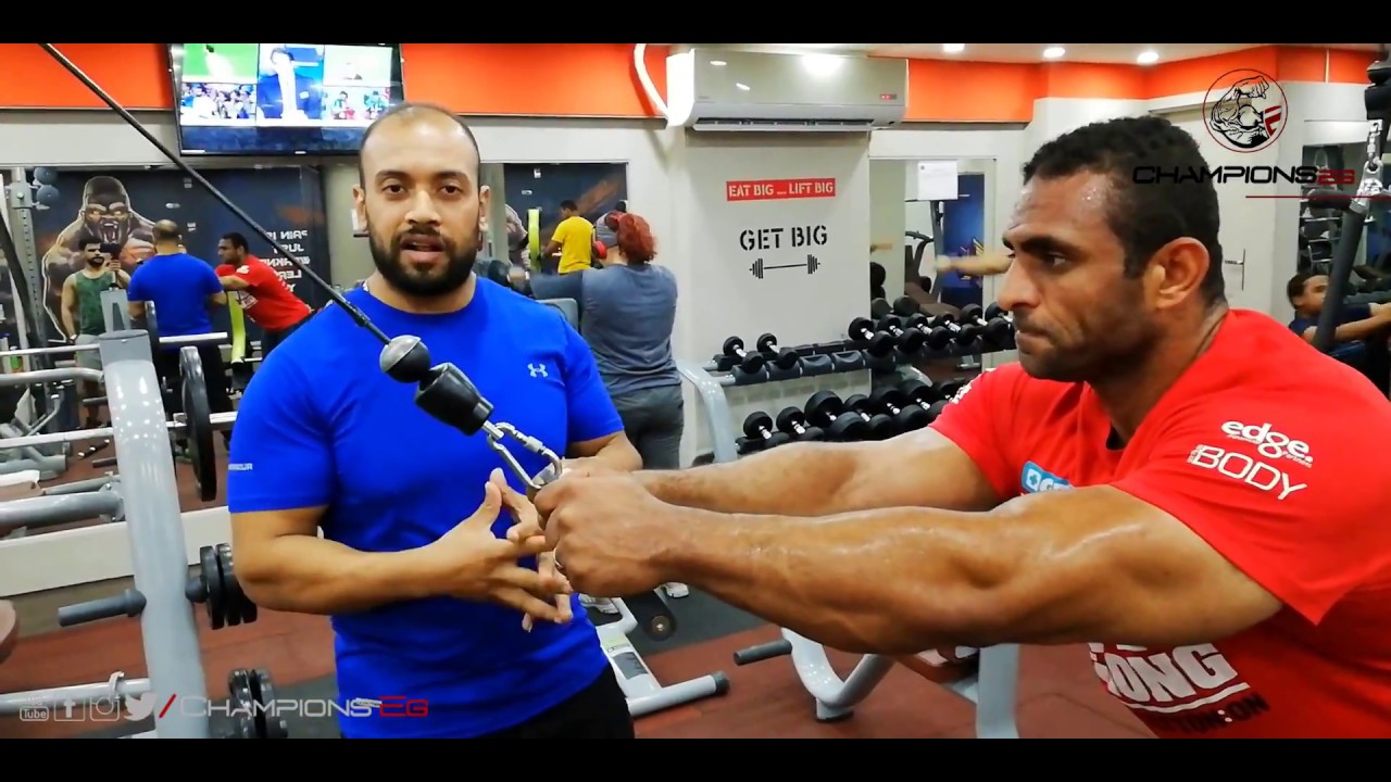 تمرين ظهر  والاداء الصحيح مع بطل العالم كابتن احمد ابو الدهب