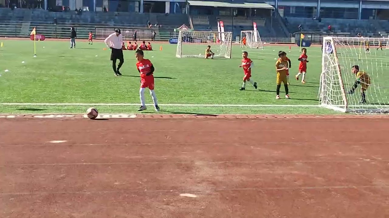 Greenfield under-8 nen..