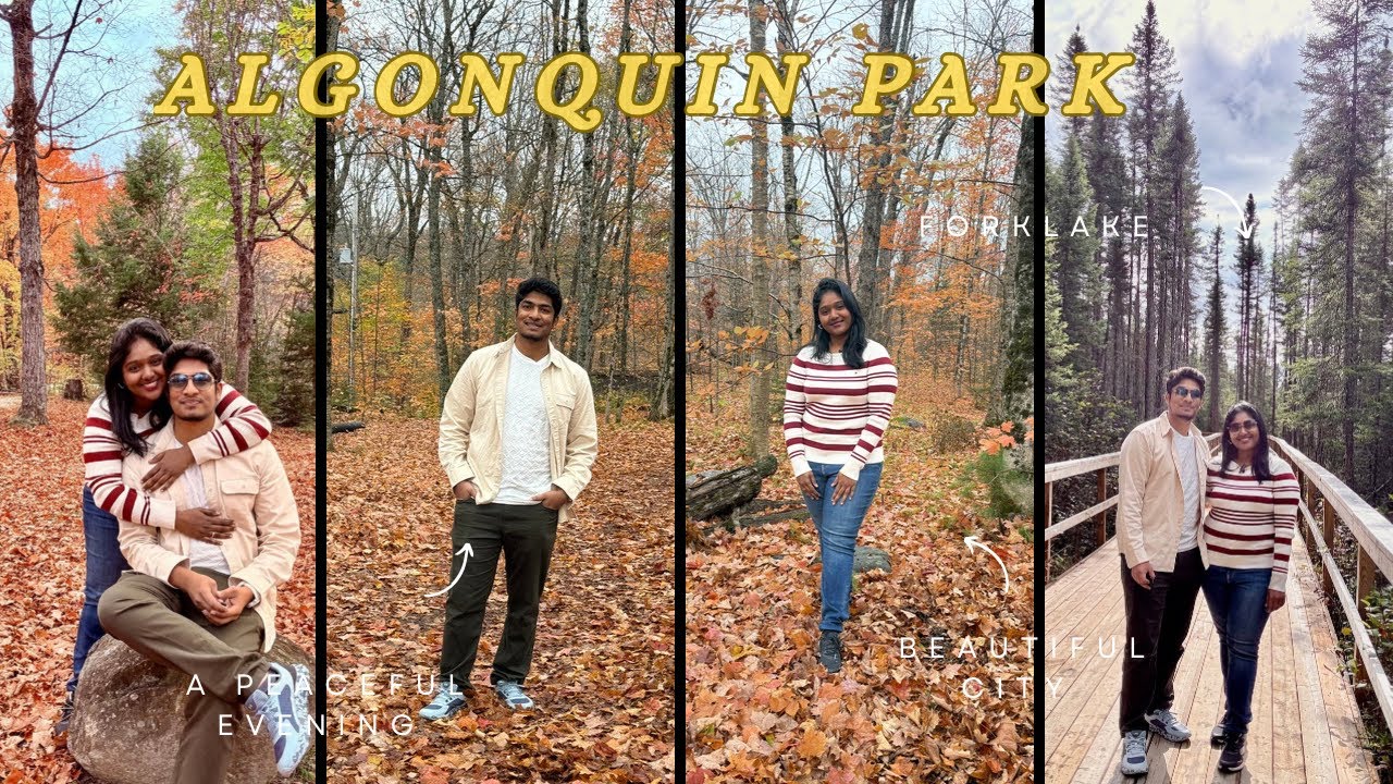 Peaceful mood at Algonquin Park 🇨🇦🍁Nature love 🩵