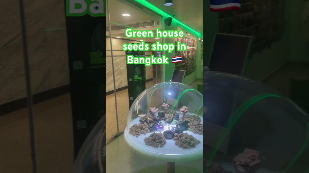 Green house seeds weed shop in Bangkok #thailand #travel #explore #cannabisdispensary