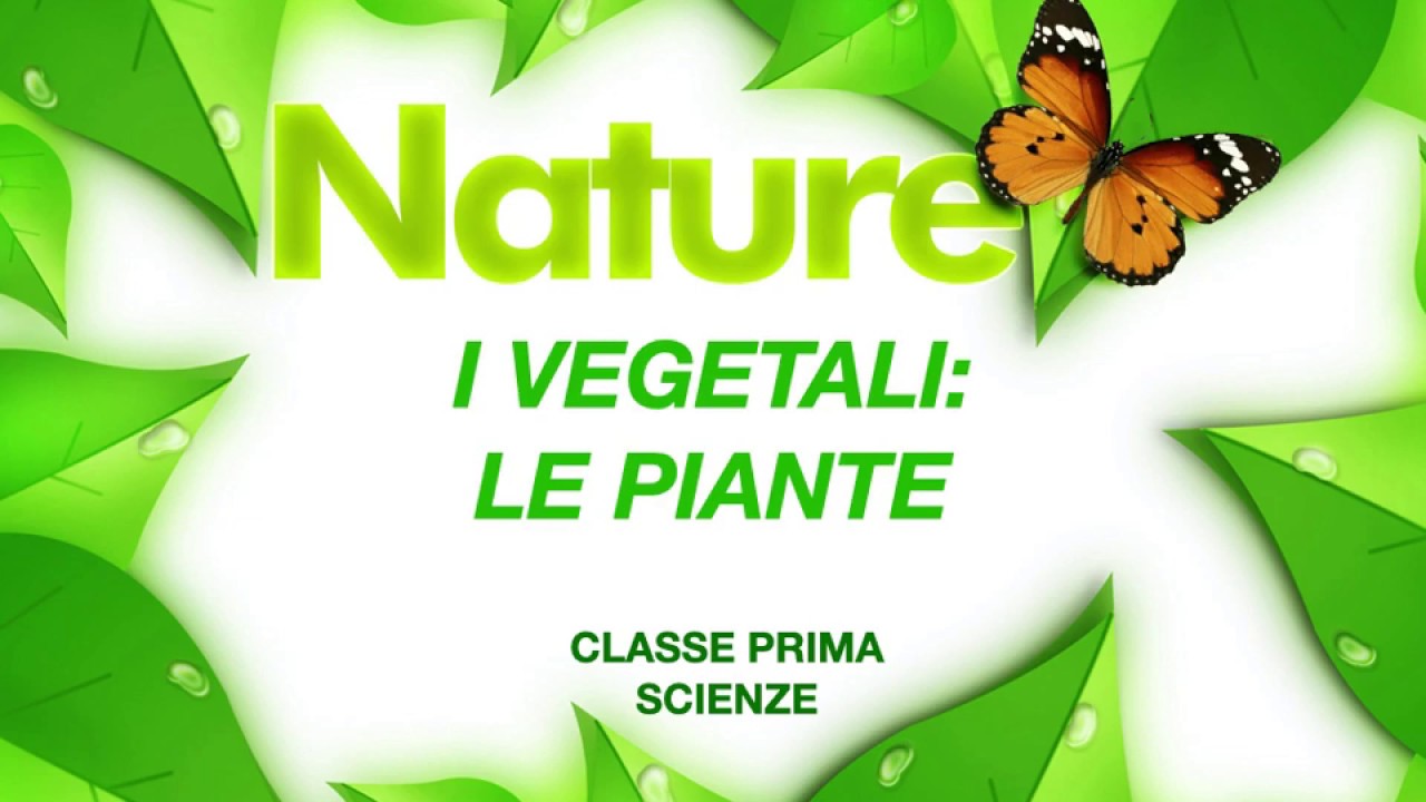 I vegetali: piante, fiori e frutti - Scienze classe prima scuola primaria