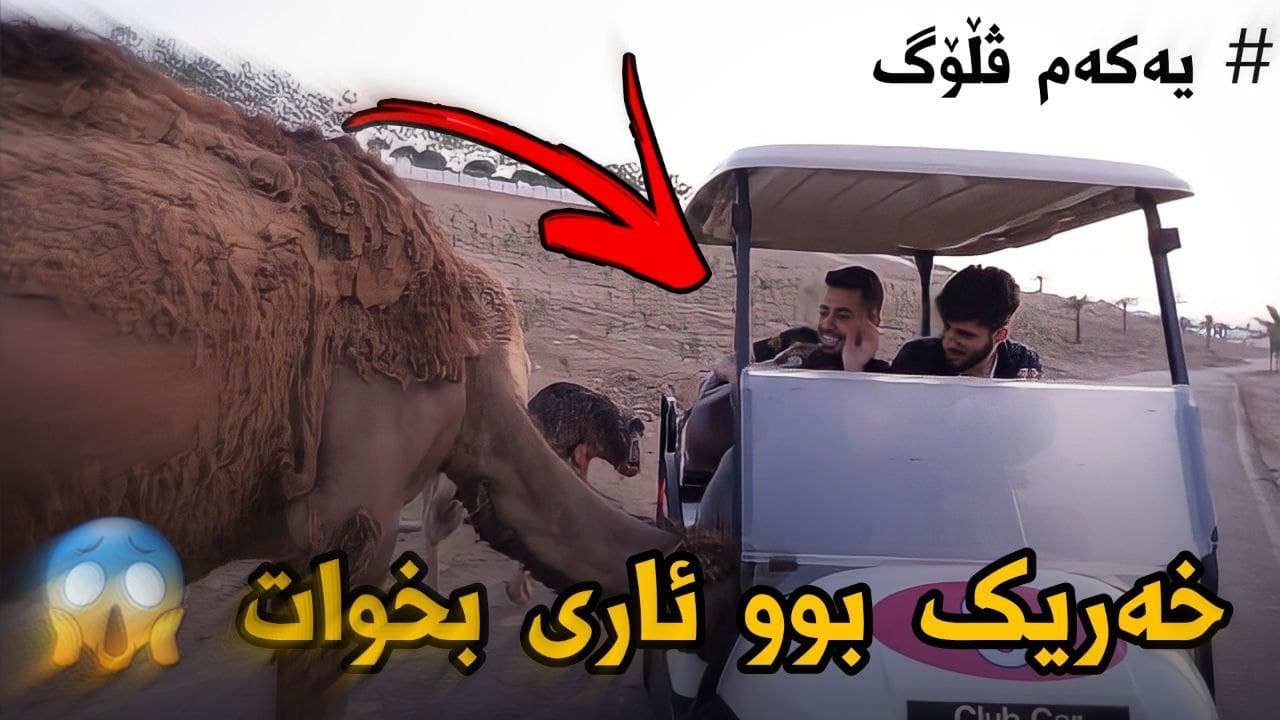 دڵ پیسترین مەیمونی باخچەی ئاژەڵان 😂 لەگەڵ ئاری گەیمینگ - V Log