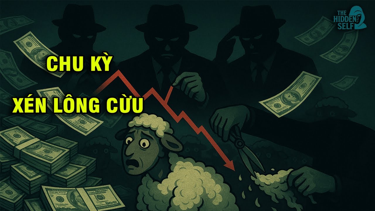 BẠN SẼ BỊ B&Oacute;C LỘT CẢ ĐỜI NẾU KH&Ocirc;NG HIỂU CHU KỲ X&Eacute;N L&Ocirc;NG CỪU - C&Aacute;CH M&Agrave; GIỚI TINH HOA LẤY TIỀN CỦA BẠN