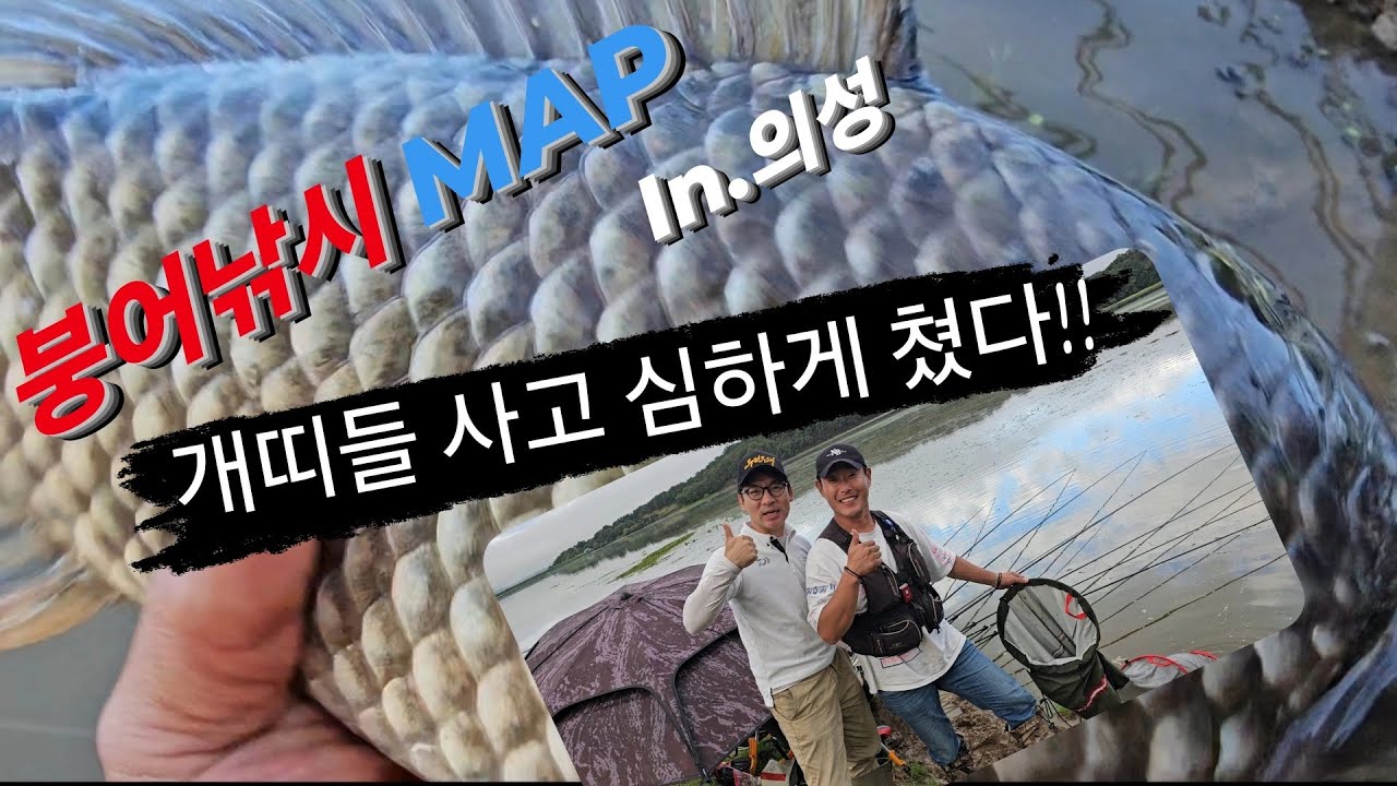 [붕어낚시MAP in.의성] 개천지 오름수위 찬스 #인디고프로젝트 #붕어낚시#fishing #钓鱼