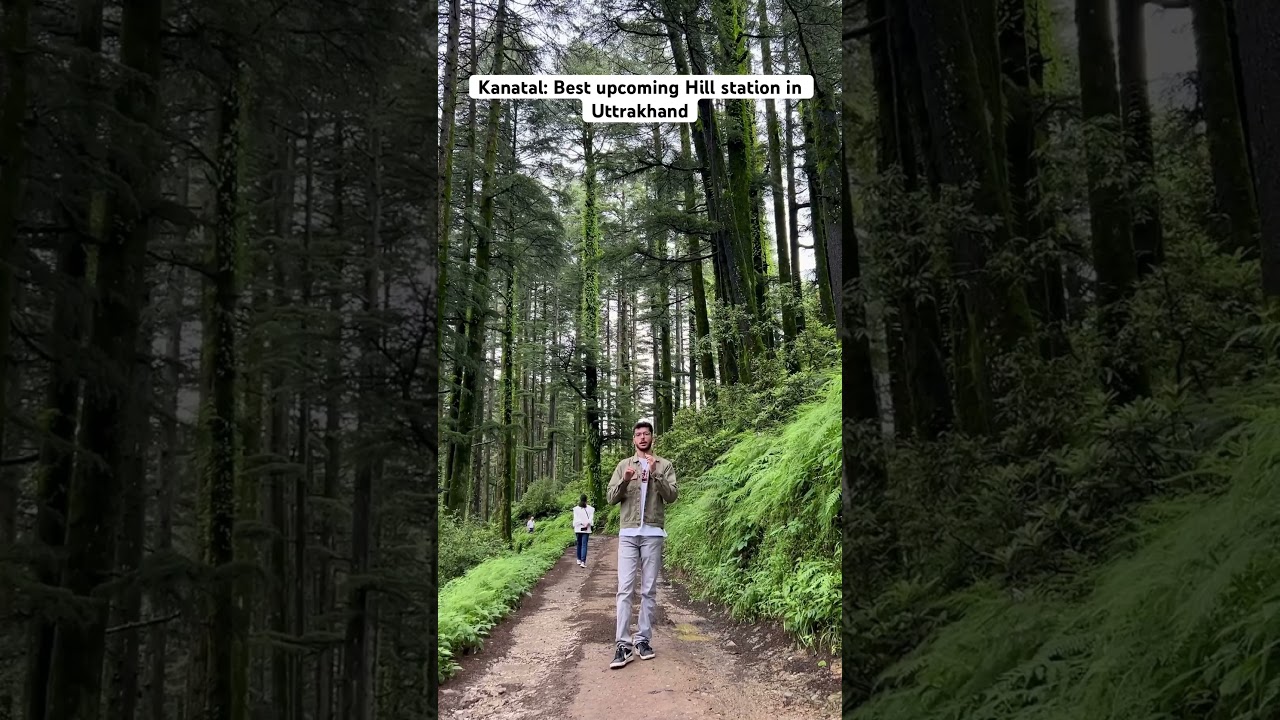 8979590051 Land available in Kanatal for resort or homestay 