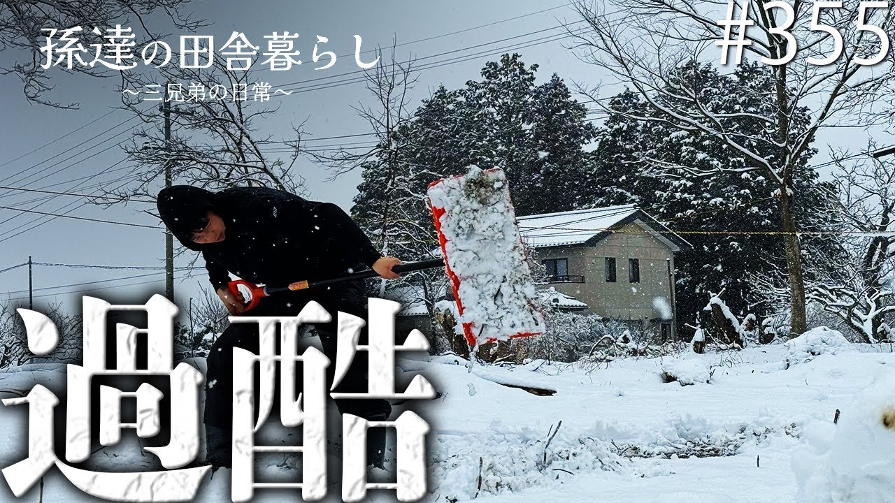 【大雪】積もった雪の除雪作業に大苦戦の孫達… #355