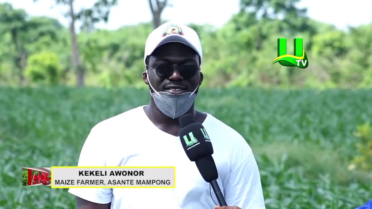 AYEKOO: 2020 Maize Season