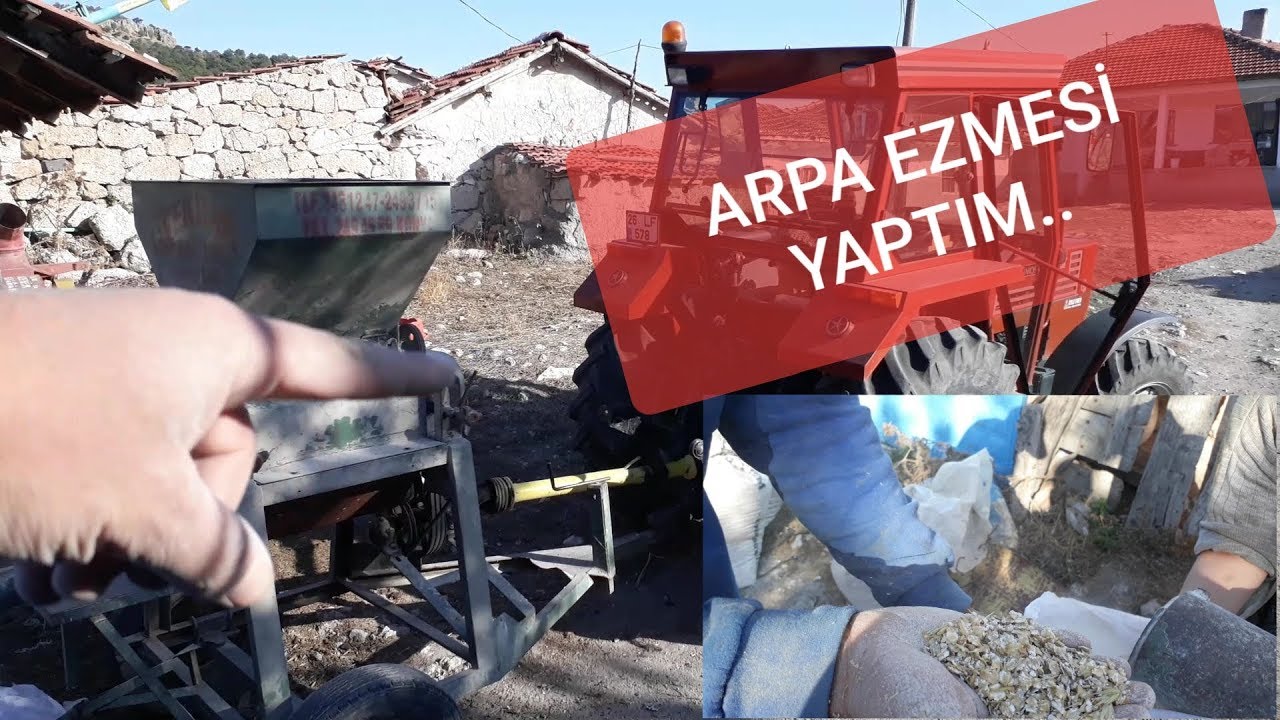 KOYUNLARA İNEKLERE ARPA EZMESİ YAPTIM.GEZEN DEGİRMEN.