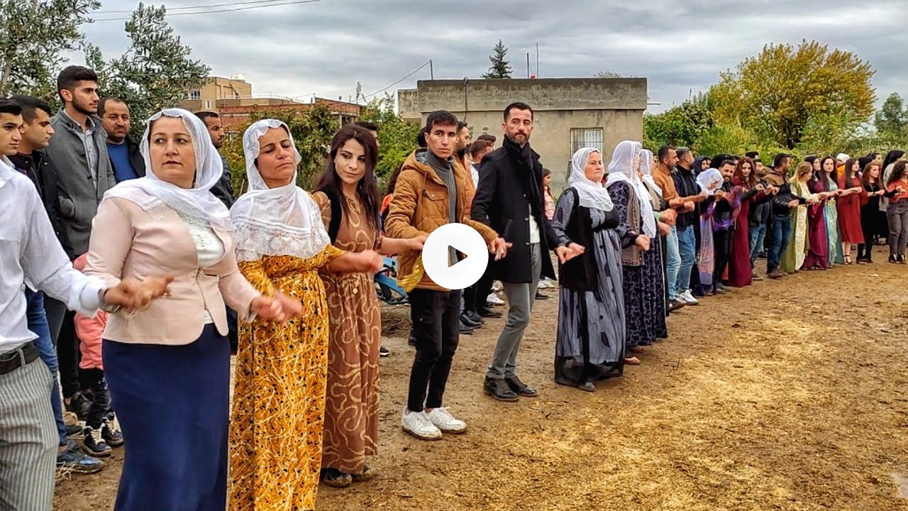 Zıheri Aşireti - Silopi Binici Ailesi Uğur Binici Düğünü - Part.4- 📽👏🏻 GrupNihatSilopi