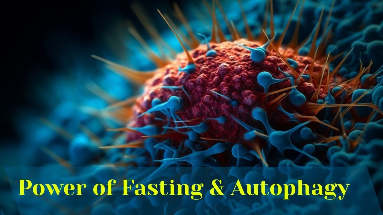 Autophagy Explained: Quran Guidance and Modern Scientific Discovery | Fasting