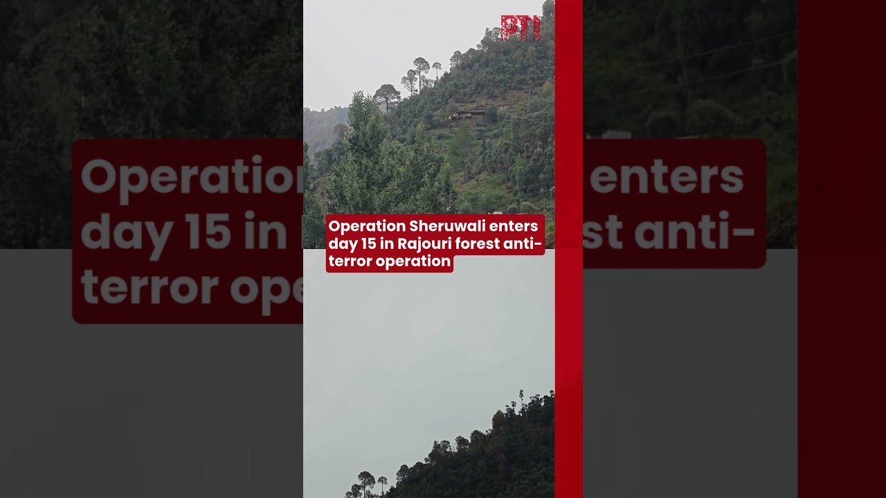 Operation Sheruwali enters day 15 in Rajouri forest anti-terror operation