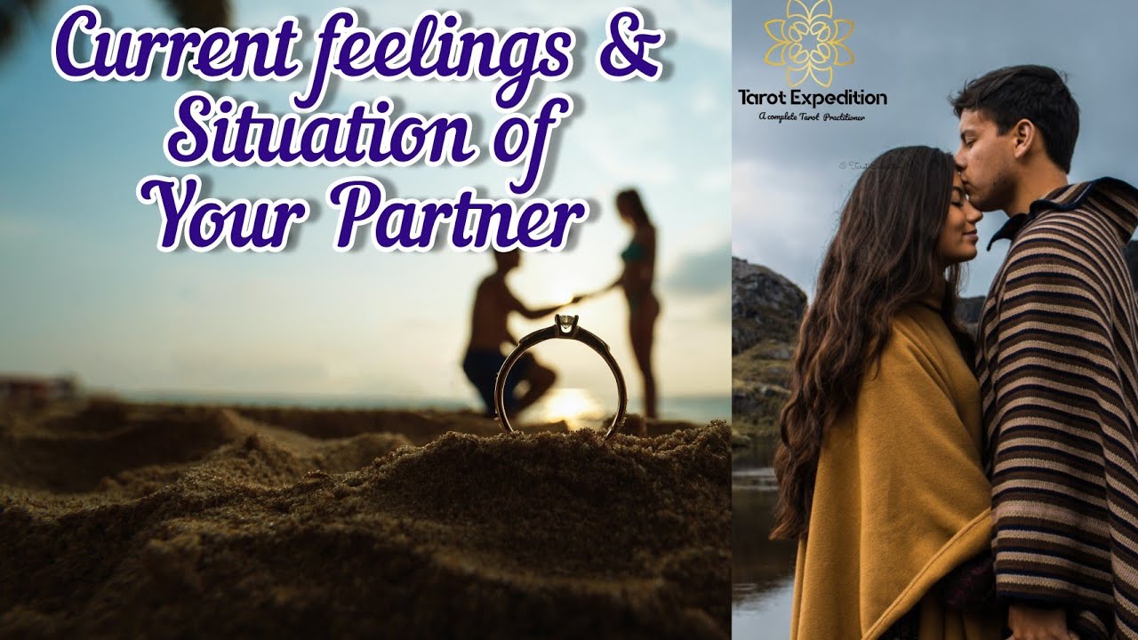 ||THEIR CURRENT SITUATION AND FEELINGS || MALAYALAM TIMELESS TAROT READING ||