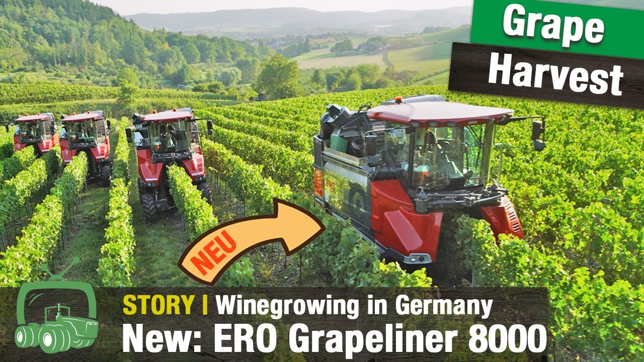 A year on Franz Estate Winery | New additions: ERO Grapeliner 8000 grape harvester | Fendt 200 Vario