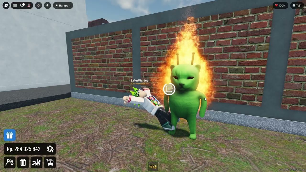 ROBLOX - Anomali Ke-34 Kucing Alien Hijau Tak Berkumis :  DRAG & DRIVE SIMULATOR