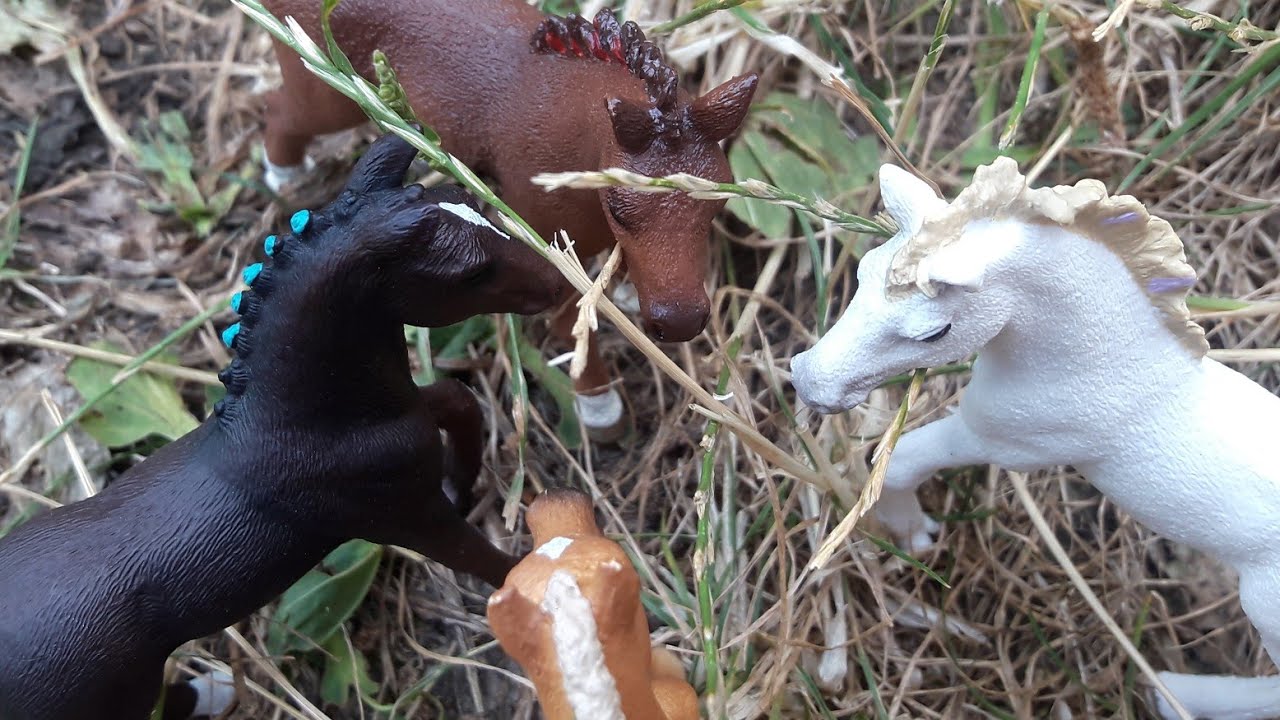 Die Horse Club Fohlen #1