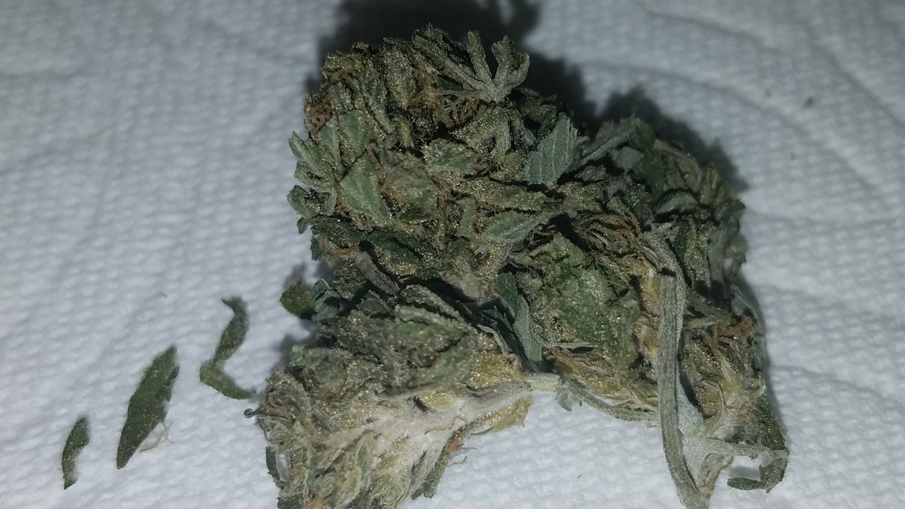 FRIDAY NIGHT PICK UP: STRAWBERRY KUSH