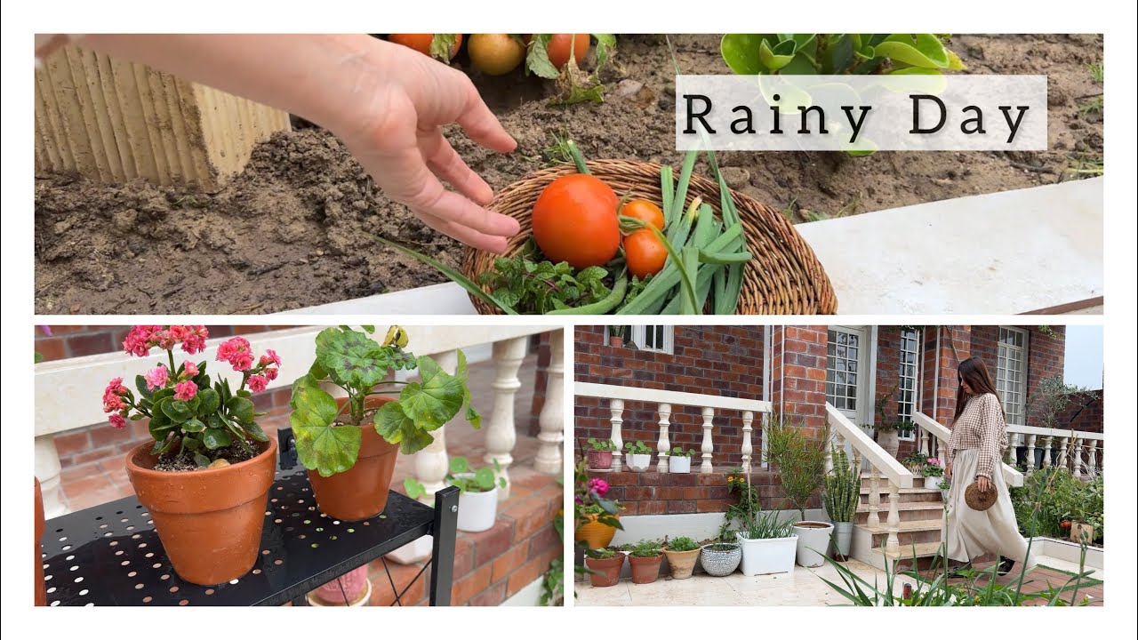 Peaceful Rainy Day Routine 🌿 | Rain Sounds & Simple Breakfast (No Talking) Rain sounds 🌧️