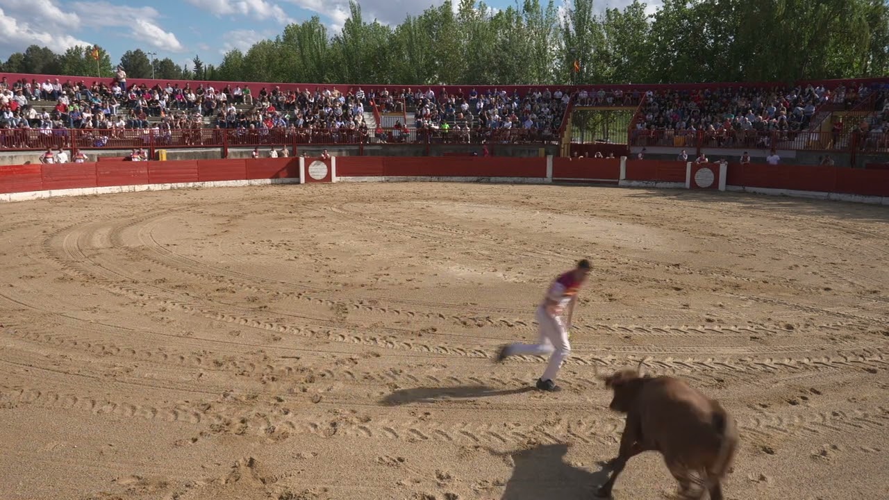 CONCURSO DE RECORTADORES !!! 11 de  MAYO PINA DE EBRO .