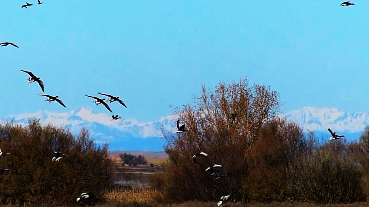 Fuentes de Nava, Palencia (Spain). Lagunas de La Nava