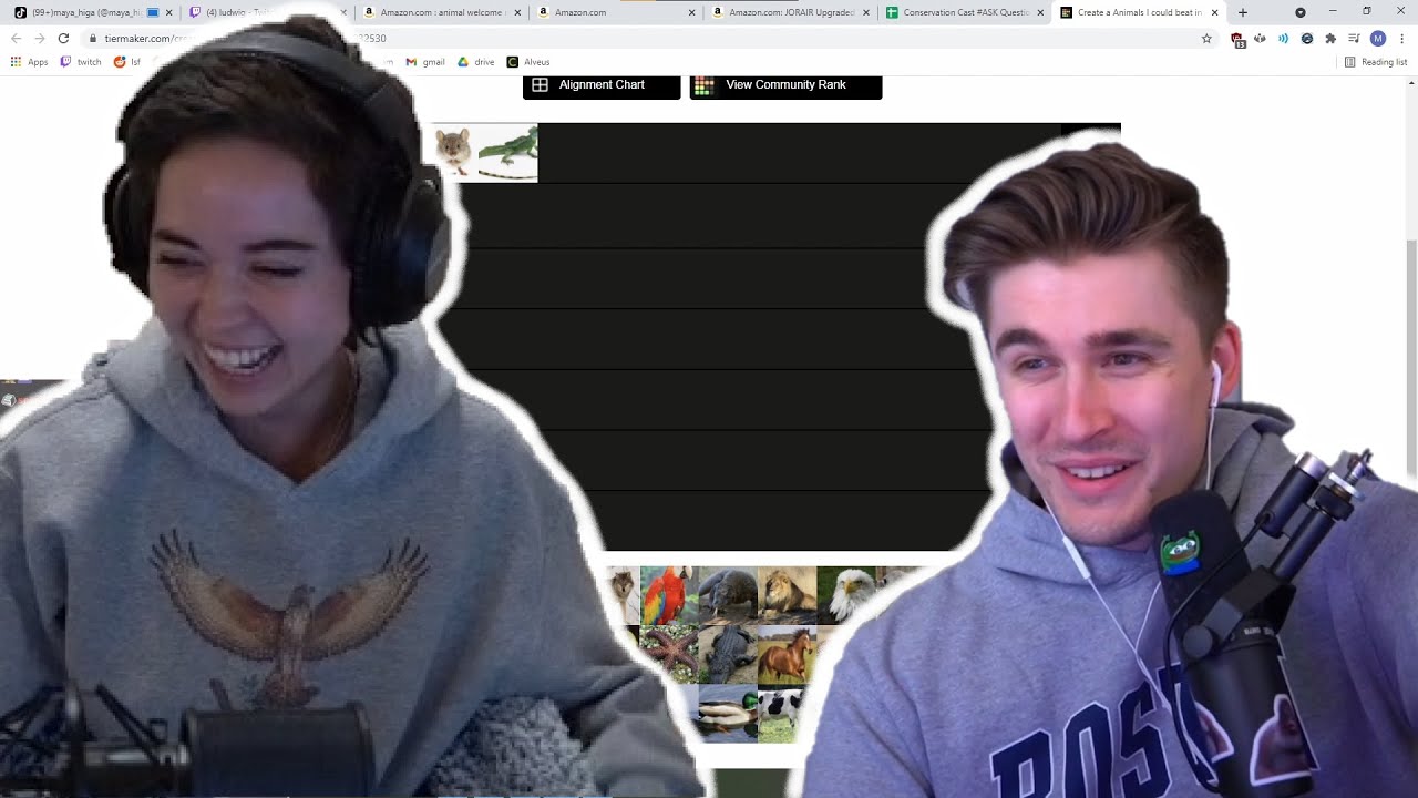 Maya does her first animal tier list ft. Ludwig