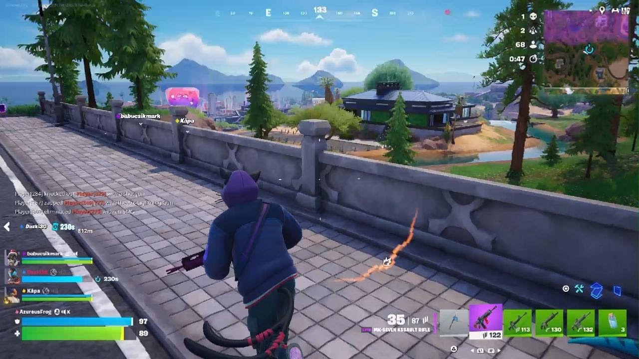 🥇Fortnite_20260219