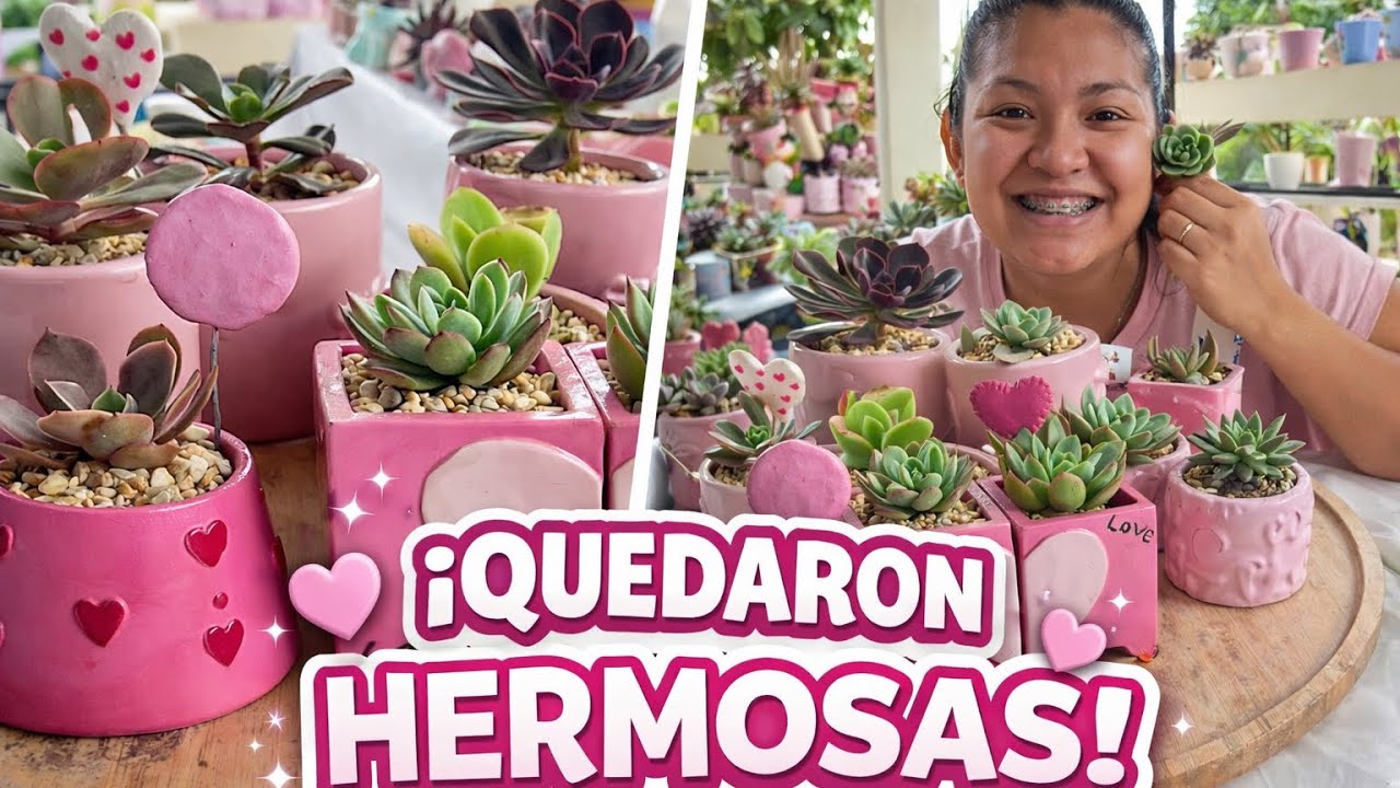 TRASPLANTE ROSA 🌸 DECORANDO EL JARDÍN PARA SAN VALENTÍN 🌸✨💕🪴