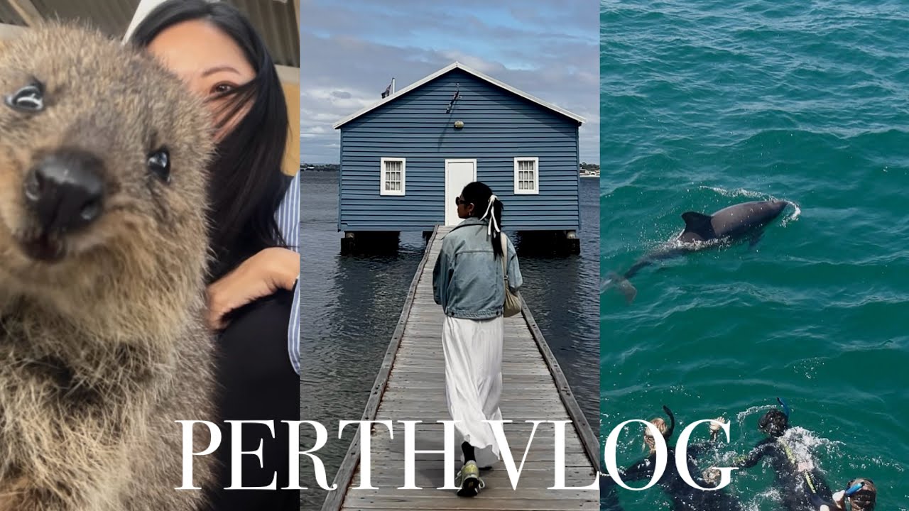 solo in perth 🐬 snorkel w dolphin, rottnest island, fremantle, kings park, kangaroo island一個人不自駕去西澳