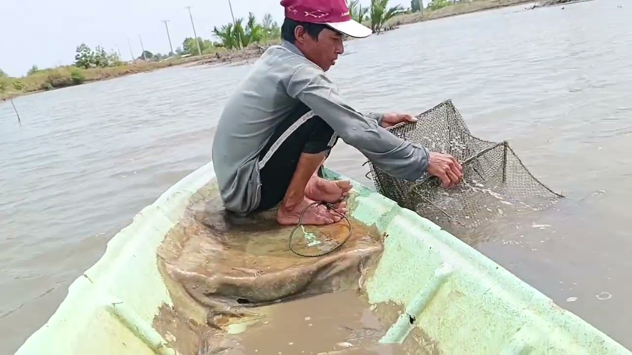 Nay trúng cá bống trăng rồi.