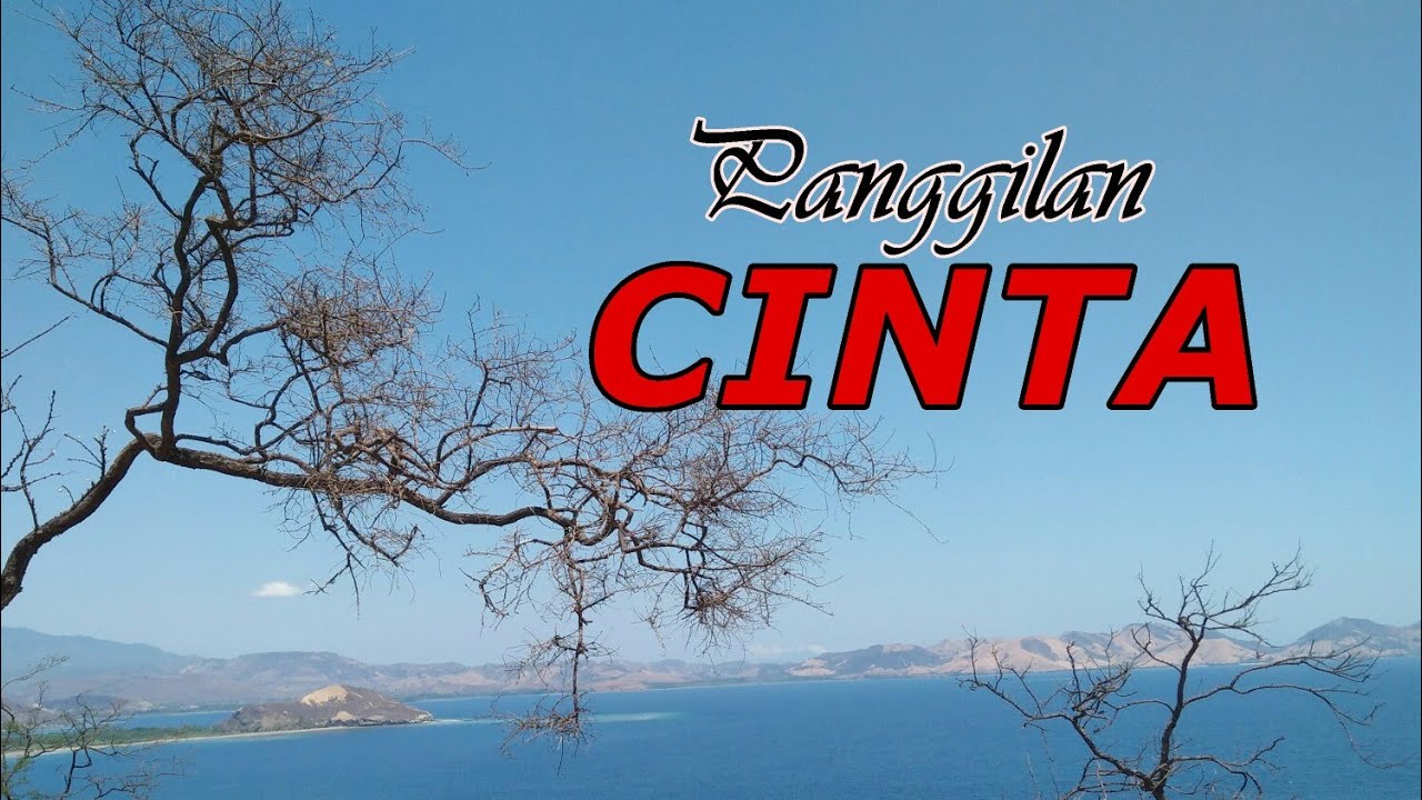 PANGGILAN CINTA || Postulat Stella Maris Malang