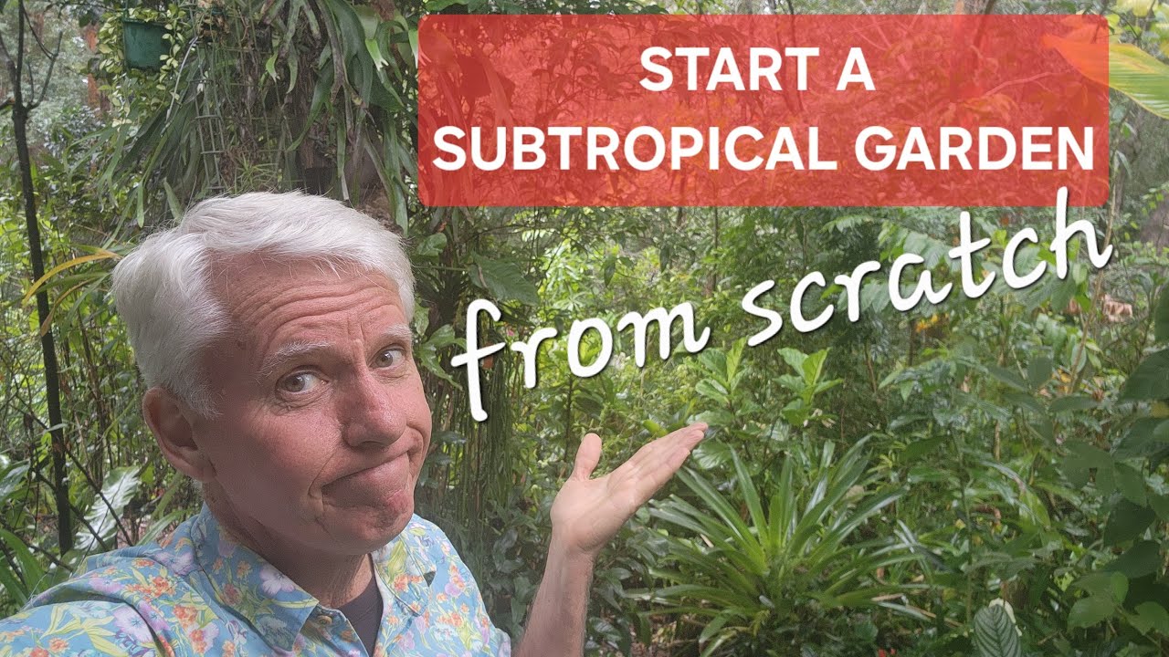 Start a Subtropical Garden from Scratch